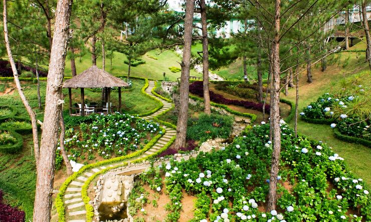 Đồi Mộng Mơ