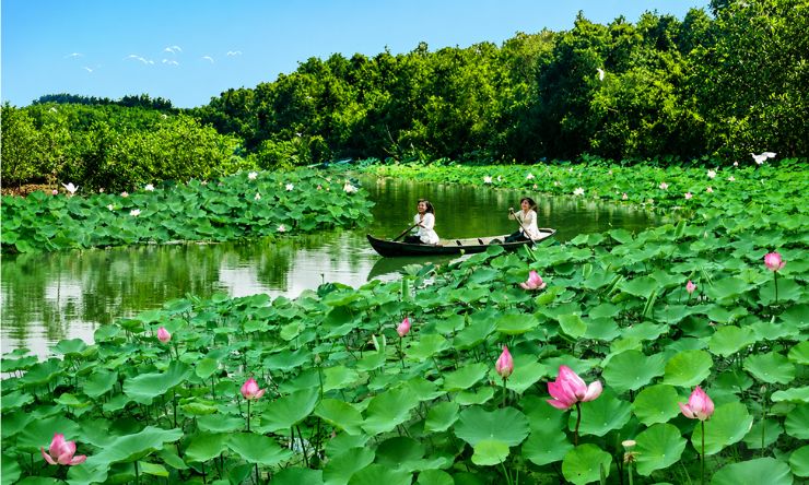 Khu du lịch sinh thái Gáo Giồng