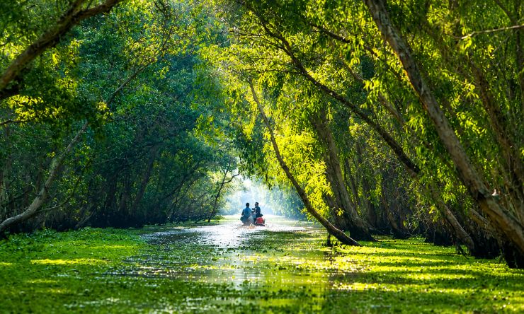 Rừng tràm Trà Sư