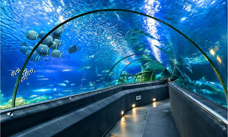 Viện Hải dương học Nha Trang
